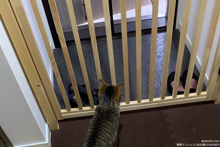 賃貸diy 玄関で出迎えてくれる猫のための脱走防止扉